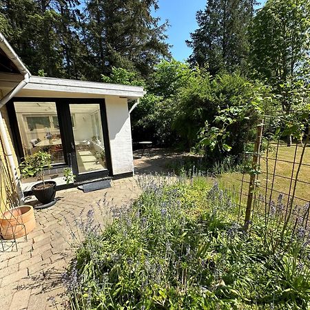 Large Room With Balcony At The Edge Of The Forest Løkken Exteriör bild